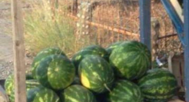 Natpis ispred štanda s lubenicama totalno je zbunio prolaznike, ovo je baš teško objasniti