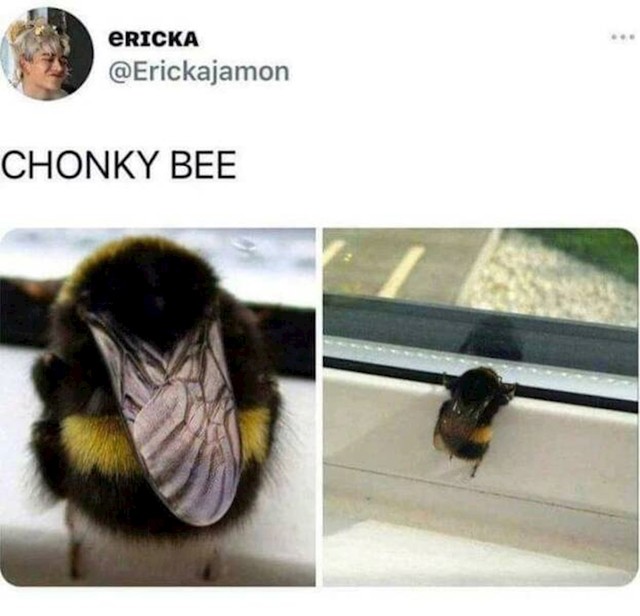 2.