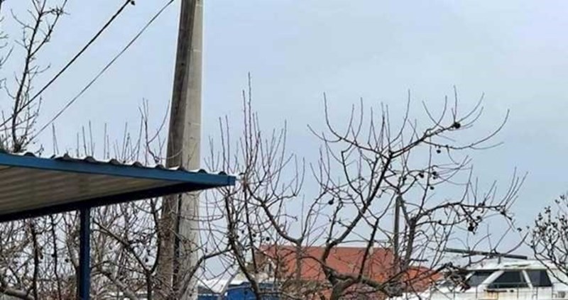 Netko je na stablu u nečijem dvorištu primijetio urnebesne dodatke, ovoga ima samo u Dalmaciji