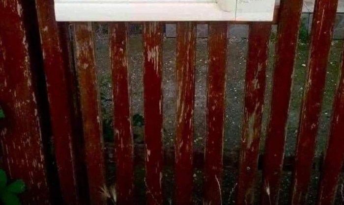 Preko 14 tisuća ljudi na FB-u lajkalo je fotku ovog poštanskog sandučića, odmah ćete vidjeti zašto