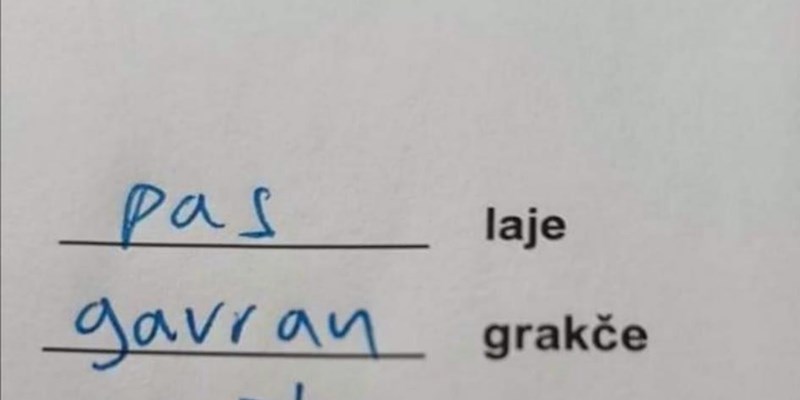 Odgovor iz nečijeg školskog zadatka nasmijao je cijelu Hrvatsku, odmah ćete vidjeti zašto