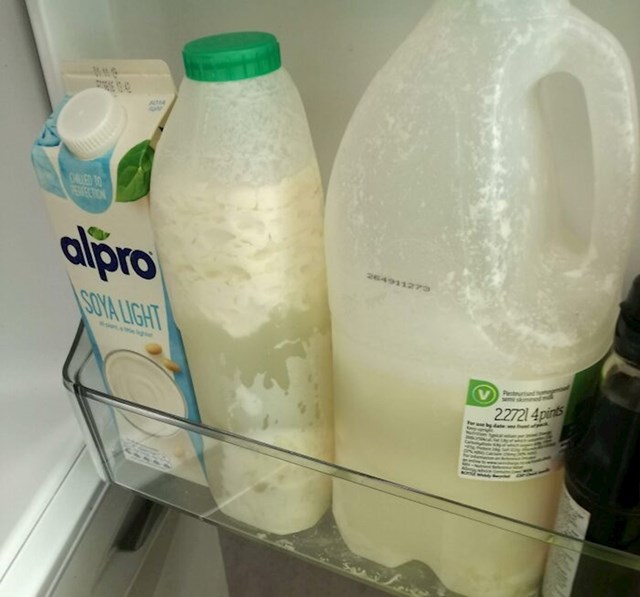 10. Moj cimer nikad ne baci svoje pokvareno mlijeko.