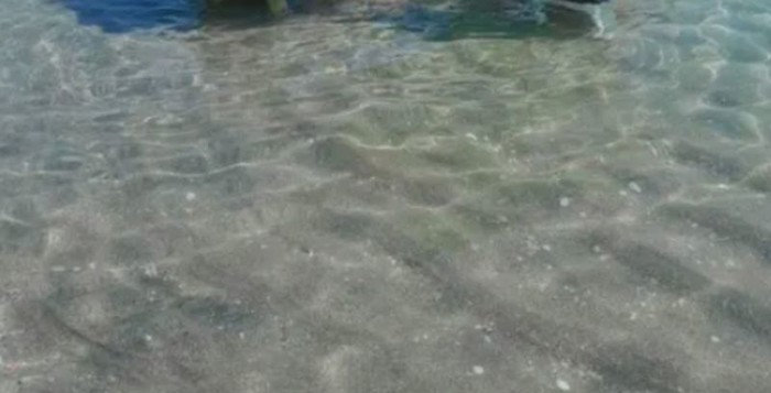 Balkanci su svojim aktivnostima u plićaku nasmijali cijelu regiju, odmah će vam biti jasno zašto