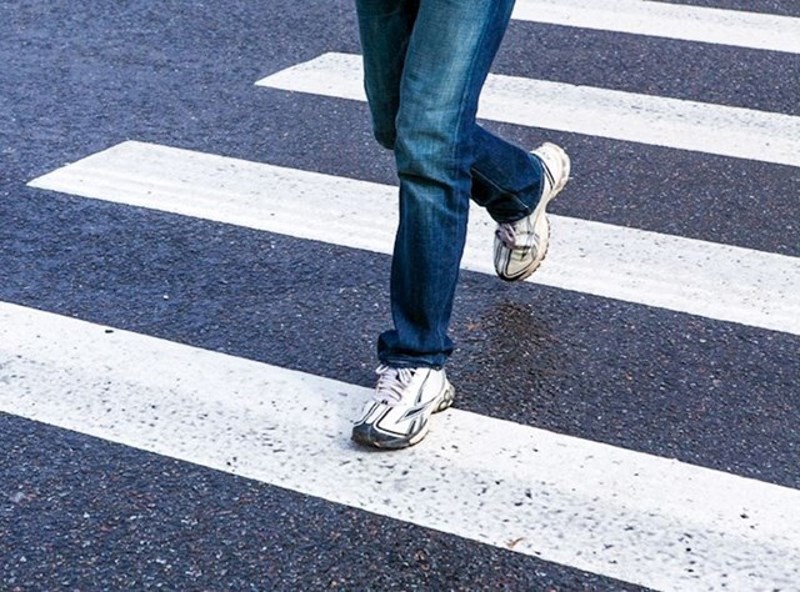 5. Skakali po bijelim dijelovima zebre