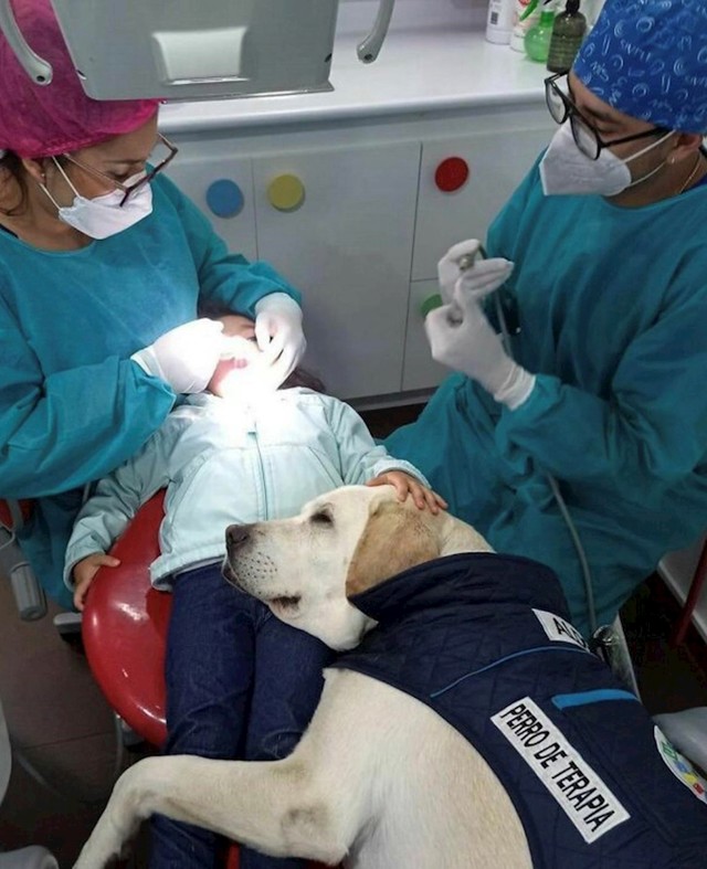 2. Peso pomaže klincima da prebrode strah od zubara