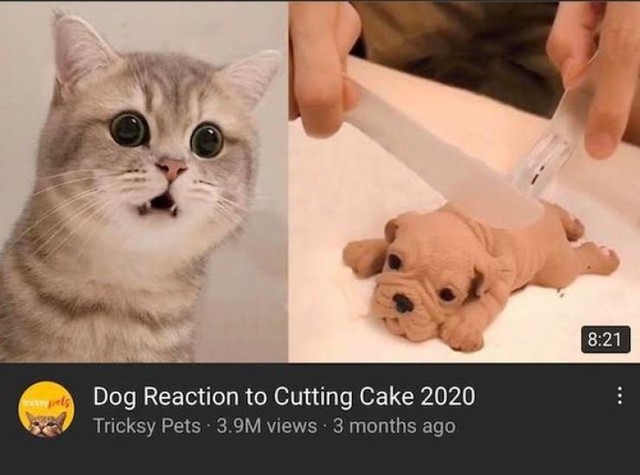 6.