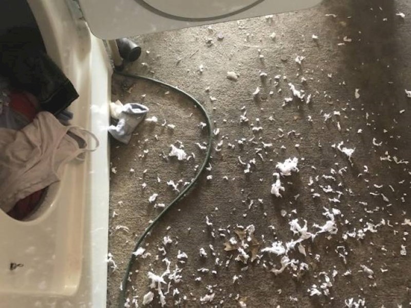 1. Stavila sam prati trapke u kojima mi je ostala jedna papirnata maramica