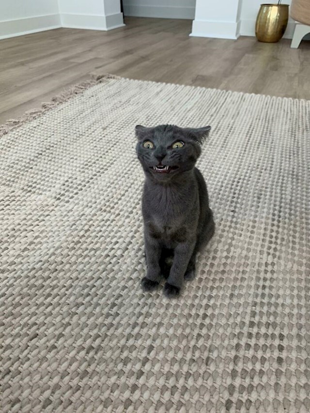 8.