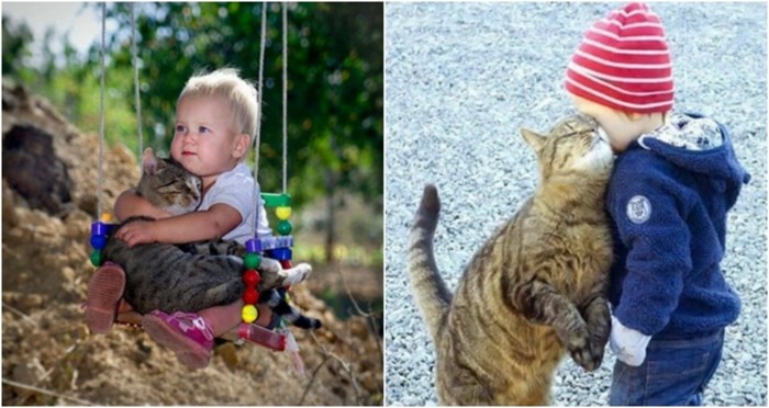20+ dirljivih fotki koje pokazuju kako to izgleda kad mačke preuzmu dužnosti dadilja