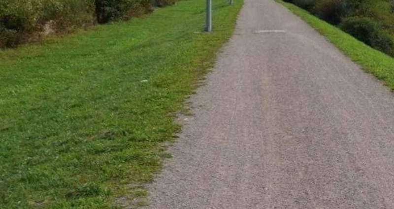 Fotka javne rasvjete negdje u Srbiji obišla je cijeli Balkan, nećete moći vjerovati što gledate