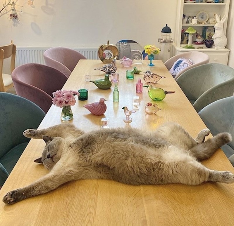 5. Njezina najdraža poza za spavanje