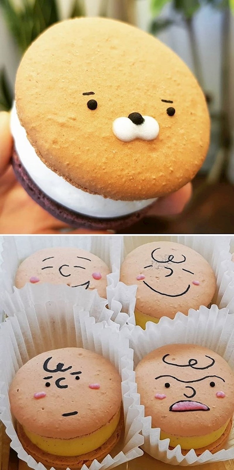 Sve vole ukrašavati i učiniti još slađim i simpatičnijim.