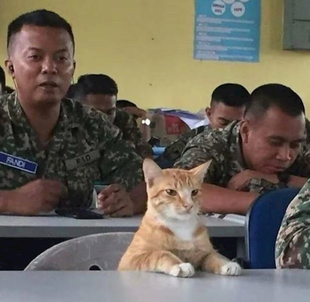 15.