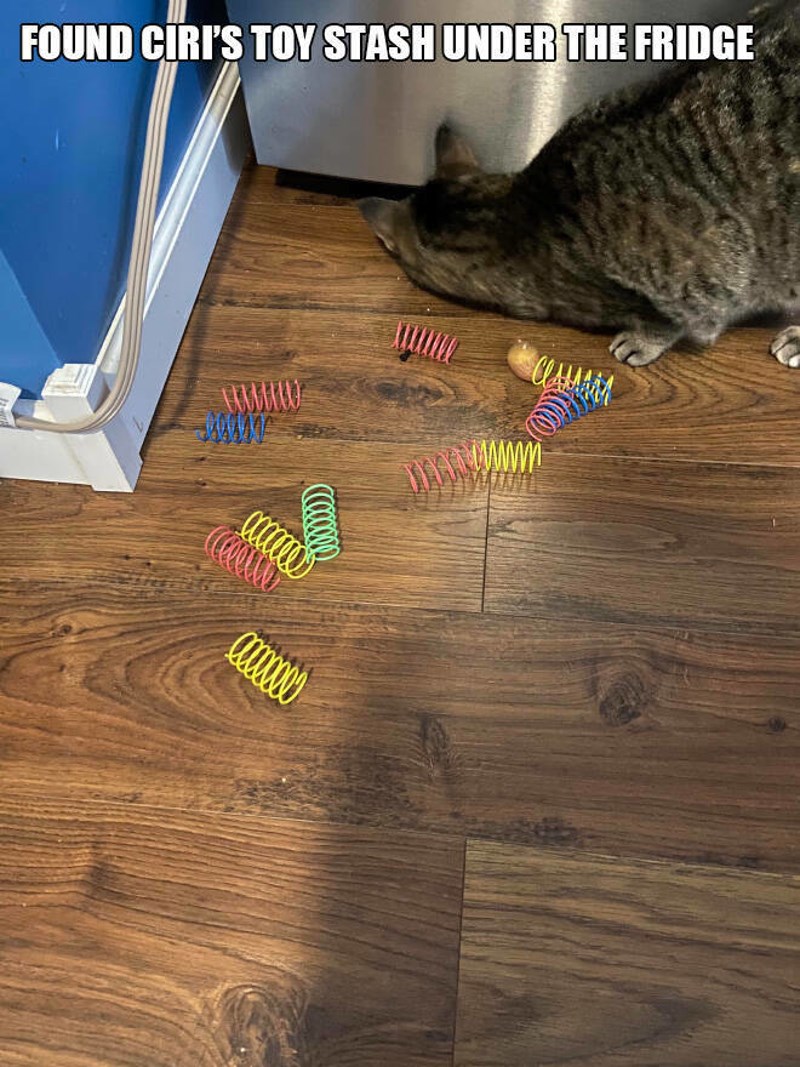 7. Pronašli smo Cirinu kolekciju ispod frižidera danas