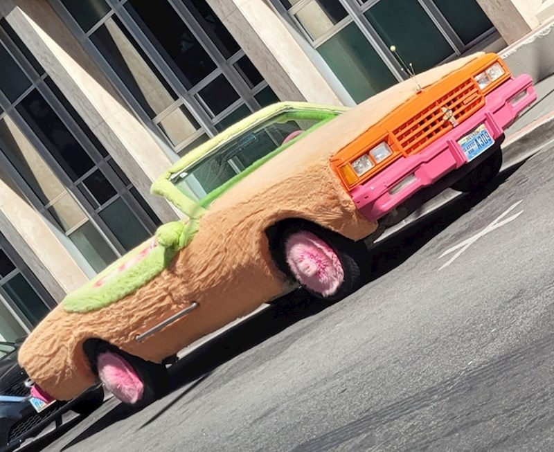 2. Vlasnik ovog auta ima baš osebujan ukus