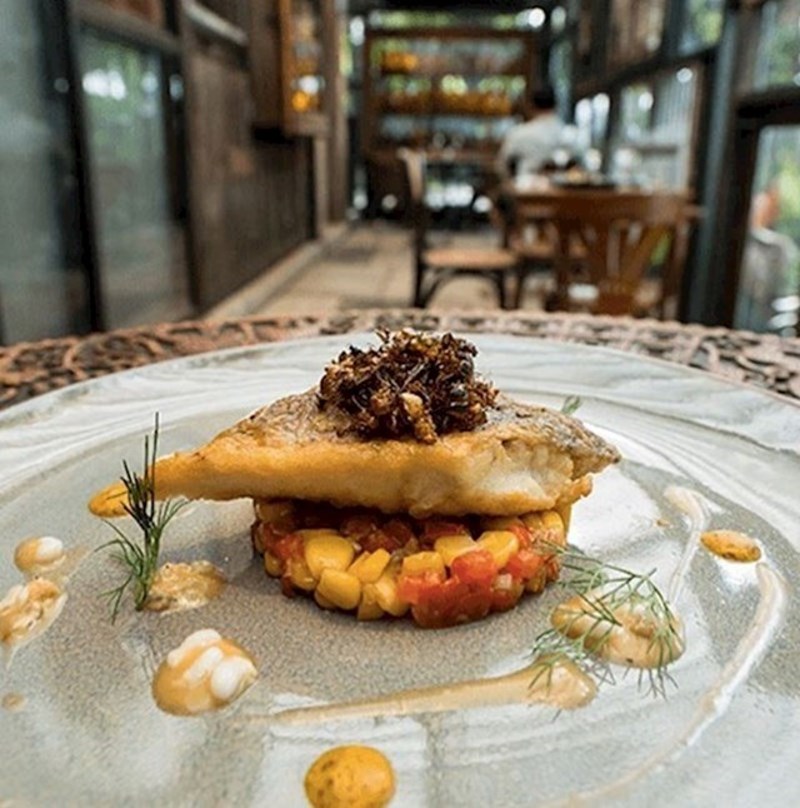 15. U ovom skupom restoranu možete večerati kukce