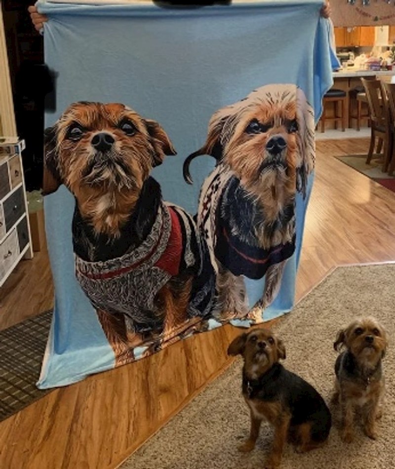 3. Naručila sam dekicu s likom svojih pasa preko interneta. Rasturili su!