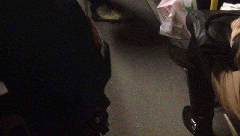 Fotka iz beogradskog autobusa nasmijala je cijelu regiju, morate vidjeti što nosi jedan od putnika