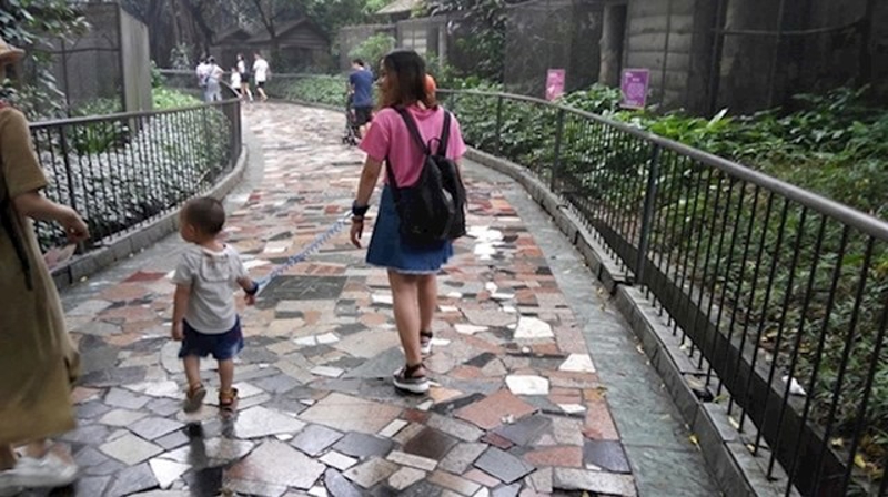 26. Često ćete vidjeti kako roditelji vode djecu na povodcu.