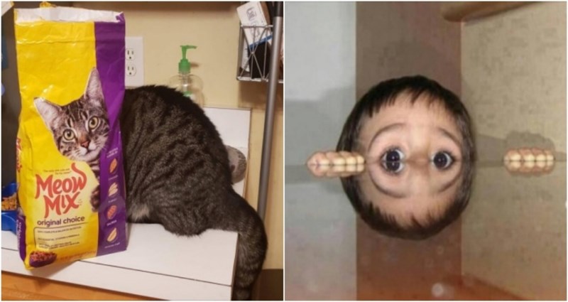 15 totalno zbunjujućih fotografija koje ćete morati pogledati više puta