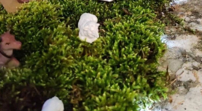 Pratitelje popularne FB stranice nasmijale su jaslice obitelji iz Imotskog, odmah ćete vidjeti zašto