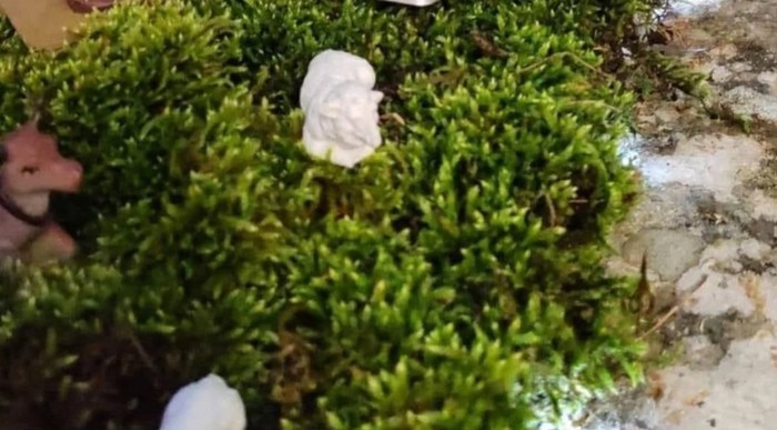 Pratitelje popularne FB stranice nasmijale su jaslice obitelji iz Imotskog, odmah ćete vidjeti zašto