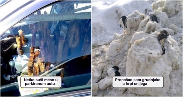 15 ljudi ugledali su prizore koji su ih potpuno osupnuli i morali ih svima pokazati