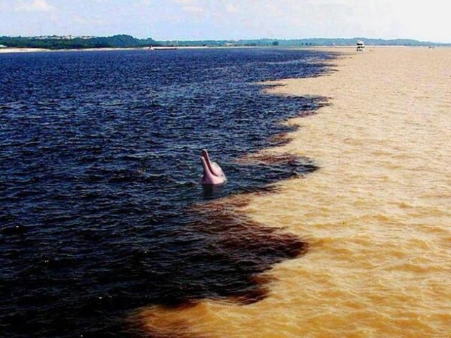 6. Mjesto susreta voda rijeke Amazone i Crne rijeke u Brazilu. Različite boje vode rezultat su različitog sastava tla i sedimenata, a prizor izgleda gotovo nestvarno.