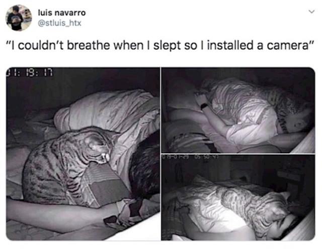 15.