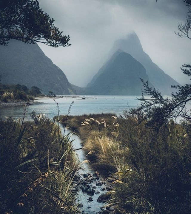 4. Što je gušća magla, to je krajolik impresivniji. Snimljeno na Novom Zelandu.