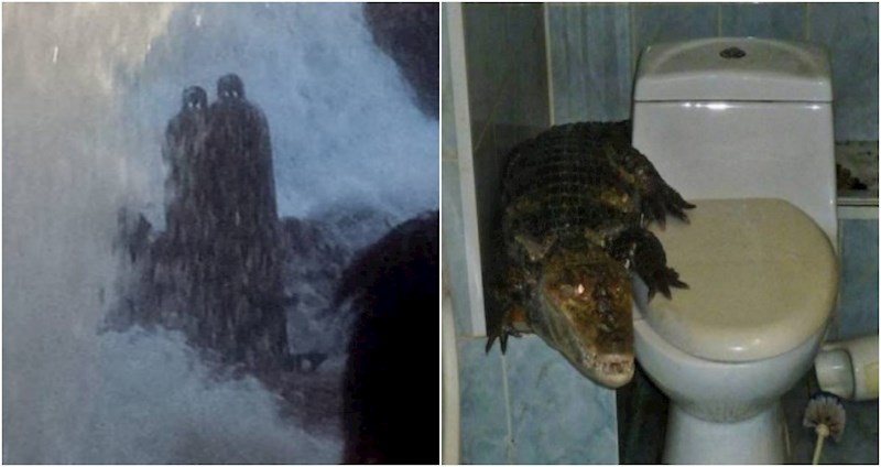 19 bizarnih prizora koji bi vas mogli duboko uznemiriti