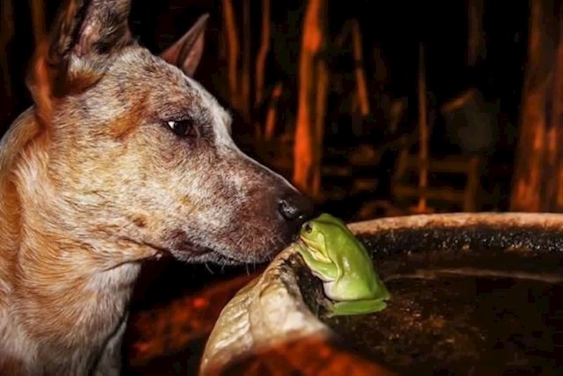 15. Neočekivana prijateljstva su najslađa!