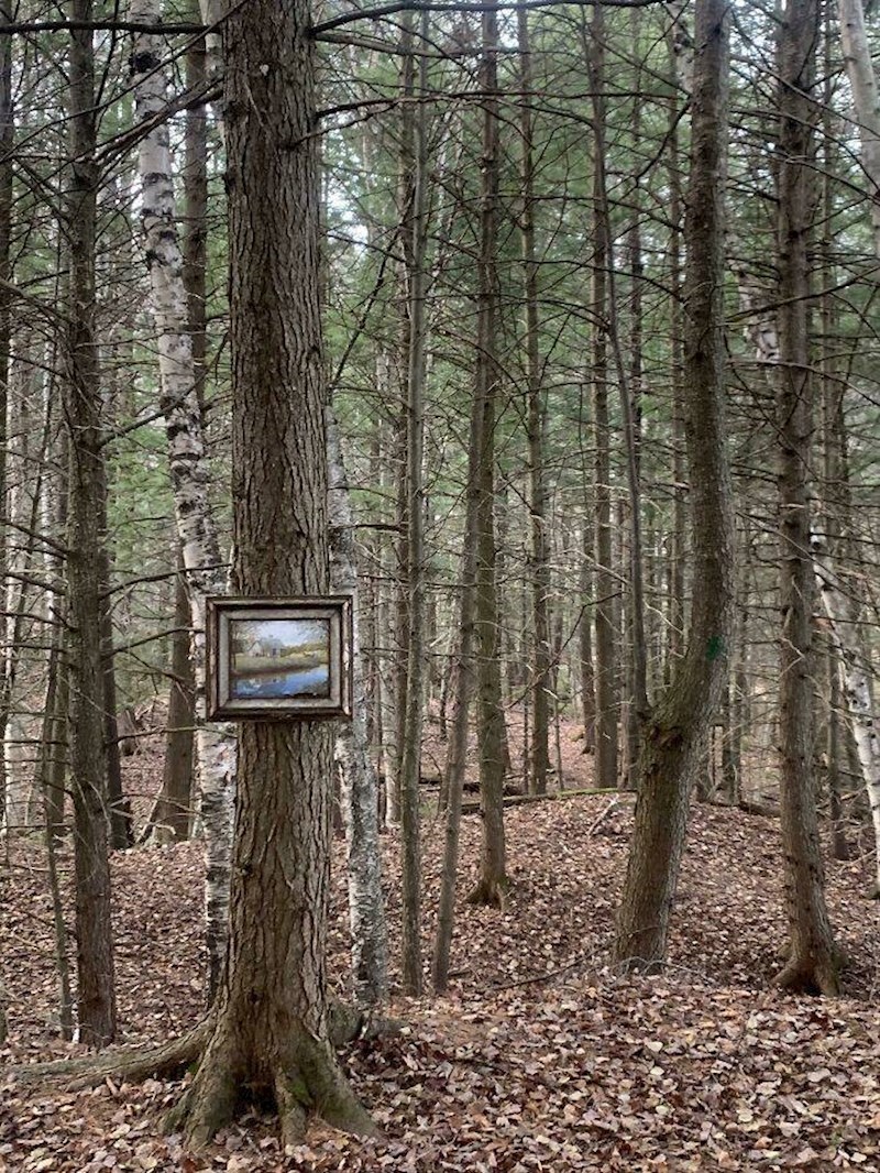 16. Slika usred šume