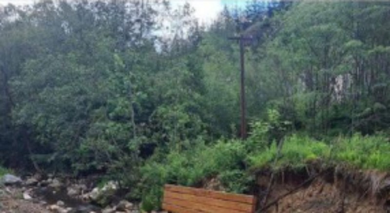 Šetač je usred šume primijetio totalno bizarno klupicu, fotka je obišla cijelu regiju