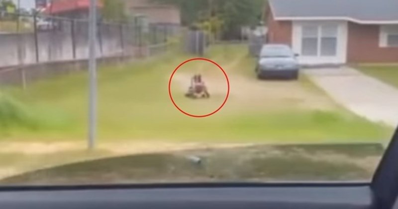 Vozili su se u autu i u jednom dvorištu vidjeli neobičan prizor, ono što su ugledali pravi je hit