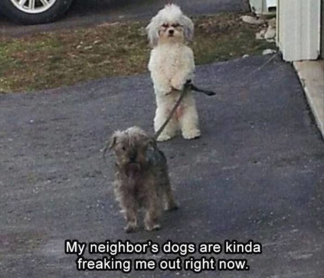 2.