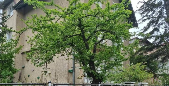 Detalji na nečijoj ogradi nasmijali su cijelu regiju, ovo će se sto posto svidjeti Imoćanima