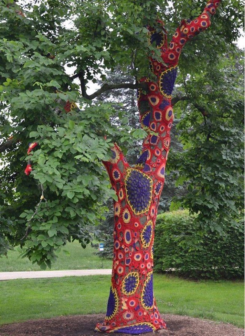 12. I drveće se može oblačiti