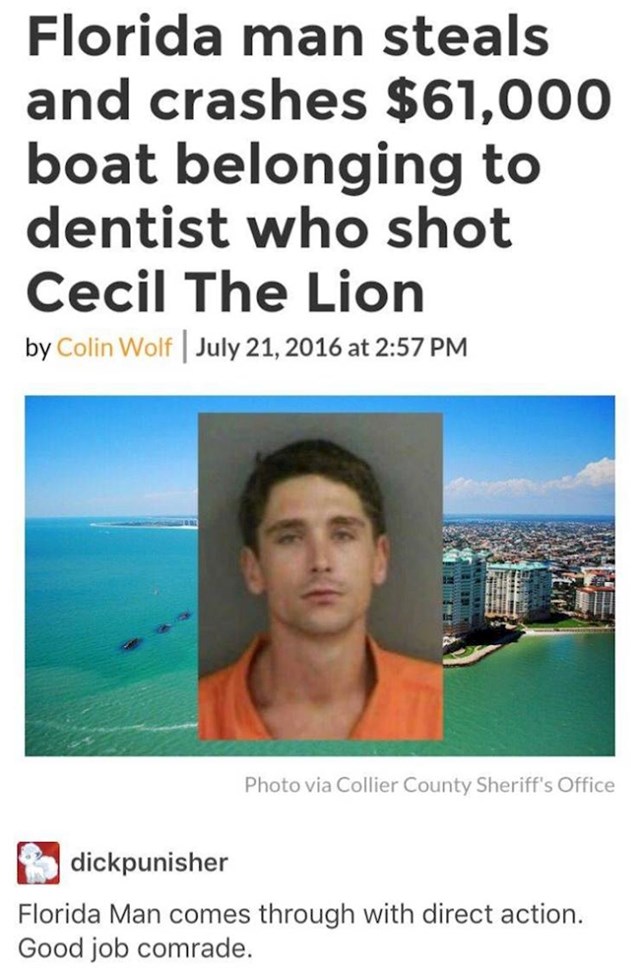 5. Čovjek iz Floride ukrao je i razbio skupocjenu jahtu koja je pripadala stomatologu koji je ubio poznatog lava Cecila.