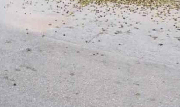 Fotka iz Vela Luke rastužila je mnoge Dalmatince, ovako izgleda pravi peh