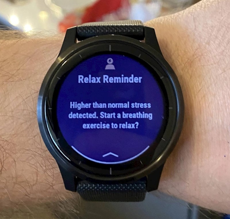 1. Provodim Božić s obitelji moje žene. Pametni sat poslao mi je obavijest da sam izložen stresu i da se moram opustiti