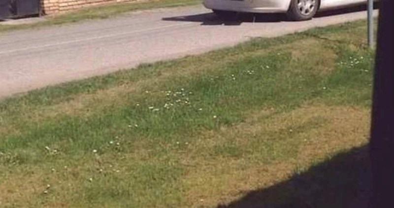 Fotka policijskog automobila iz Srbije ovih je dana hit u regiji, odmah ćete vidjeti zašto