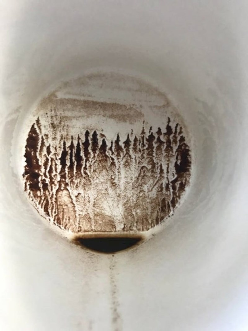 15. Umjetnost u šalici kave