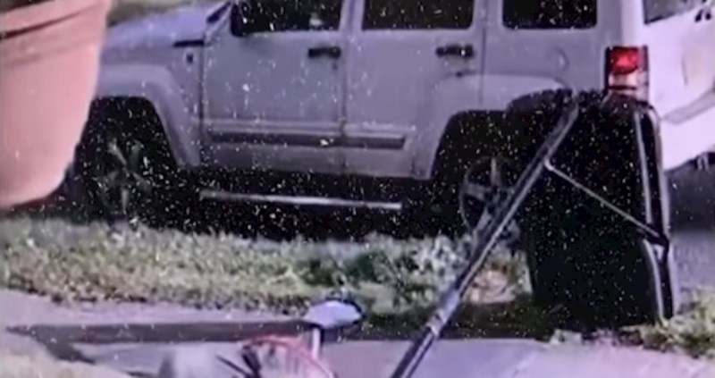 Tip je snimio svoju susjedu u ekstremno čudnom pothvatu, video je odmah postao viralni hit