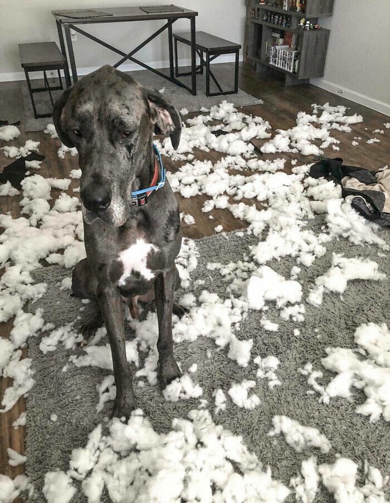 8. I on ima istu taktiku 😂