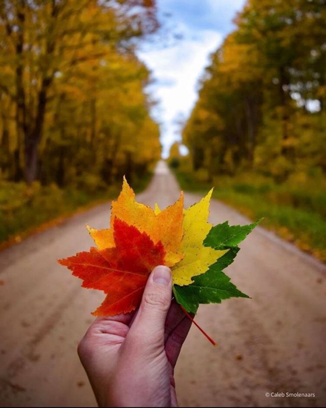 15. Jesen u Kanadi je priča za sebe.😍