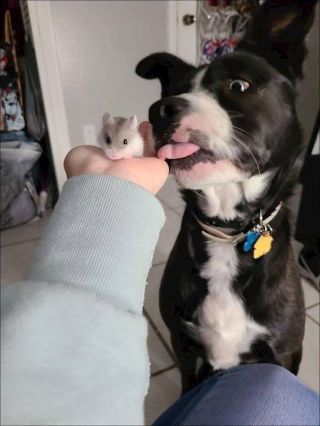 2.