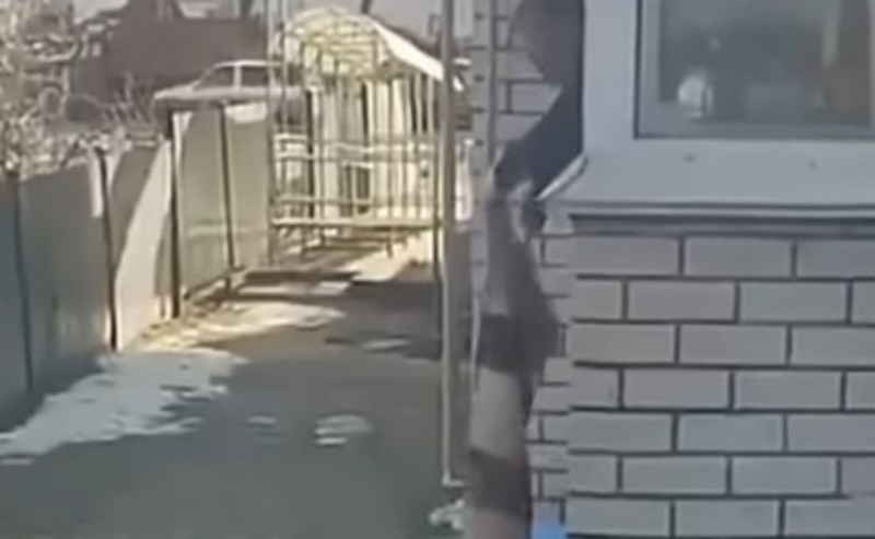 Fotka balkanske "Zlatokose" izazvala je salve smijeha na Fejsu, odmah će vam biti jasno zašto