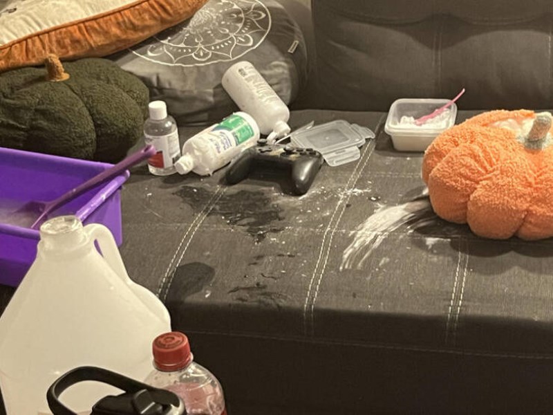 14. Moja kći i njezina najbolja prijateljica iz škole odlučile su raditi zadaću iz likovnog na kauču