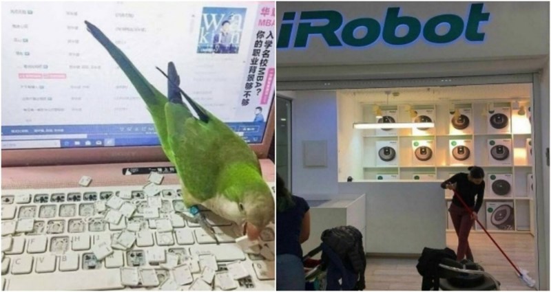 20+ nesvakidašnjih prizora koji su istovremeno smiješni i vrlo neugodni za gledati